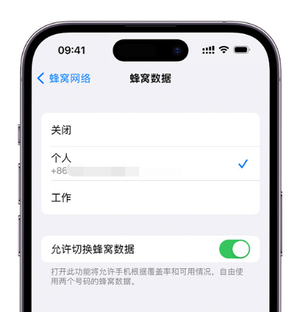 南阳苹果维修服务分享如何在iPhone上使用双卡 